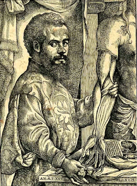 Portrait of Vesalius from his De humani corporis fabrica