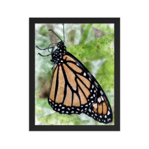 Monarch Butterfly Nature Framed Poster