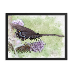 Swallowtail Butterfly Nature Framed Poster