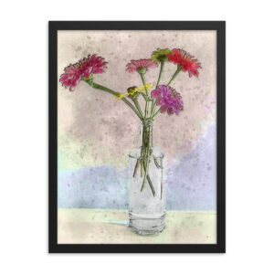 Zinnia Flowers In Clear Vase Framed Poster