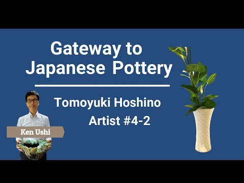 Japanese ceramics: Tomoyuki Hoshino / Japanese porcelain / Japanese pottery / Japanese ceramic art